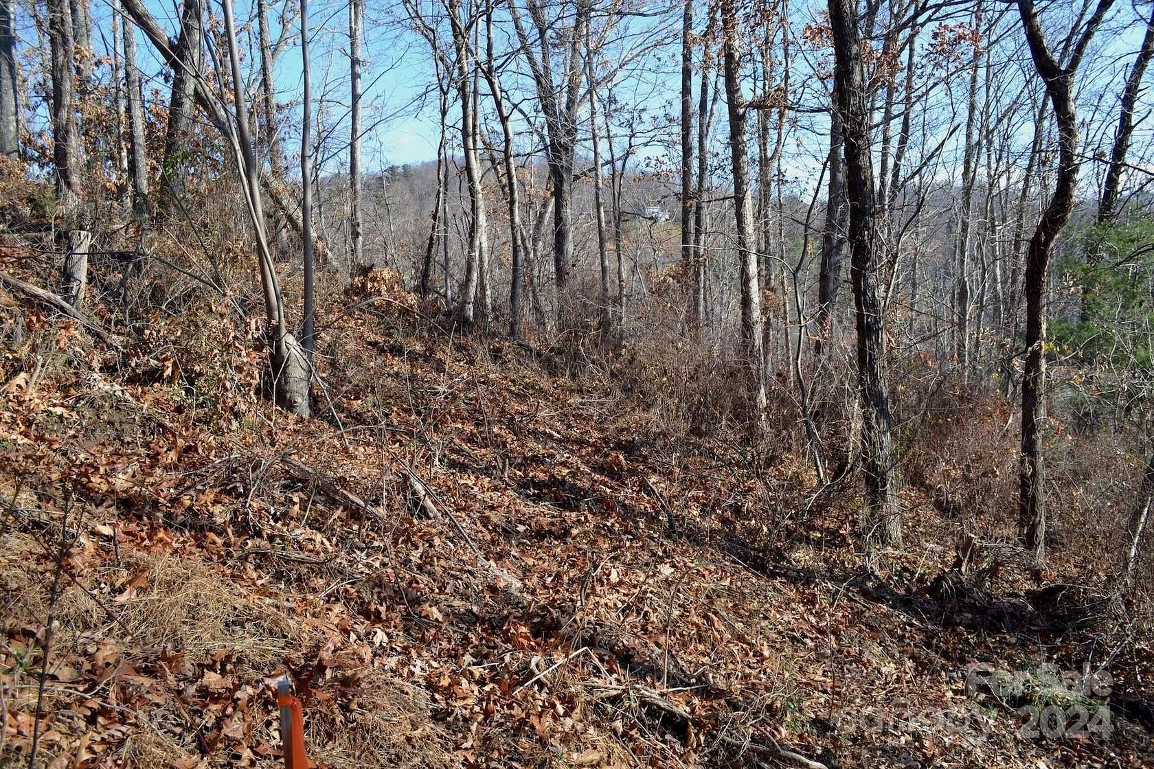 0.98 Acres of Land for Sale in Asheville, North Carolina