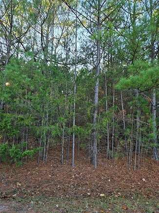 0.35 Acres of Residential Land for Sale in Bella Vista, Arkansas