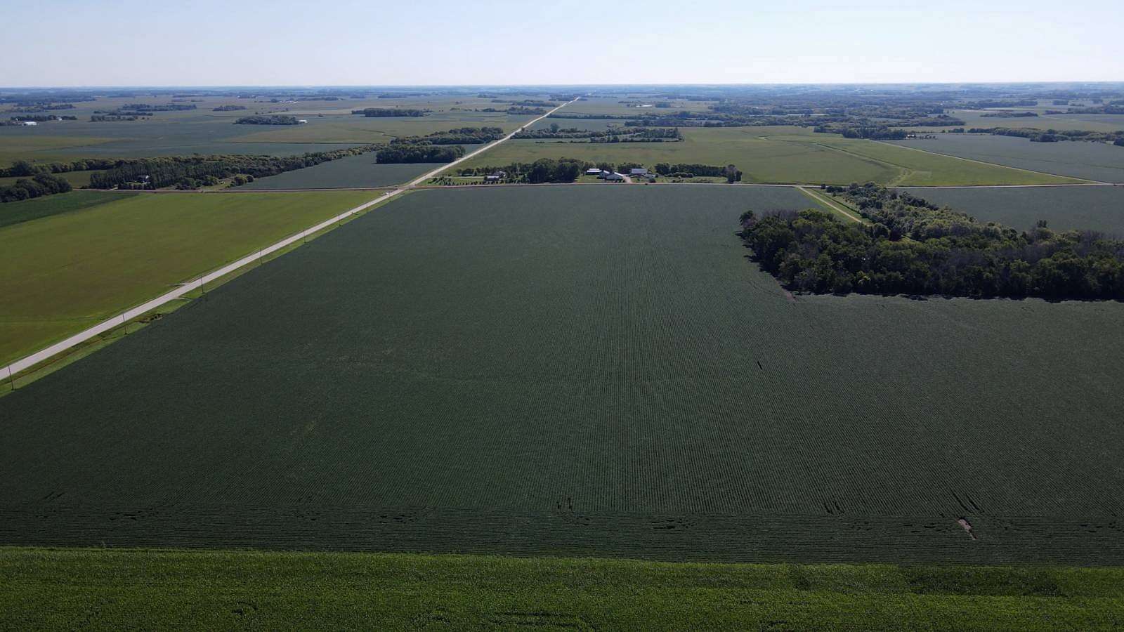 141.6 Acres of Agricultural Land for Sale in Hayfield, Minnesota