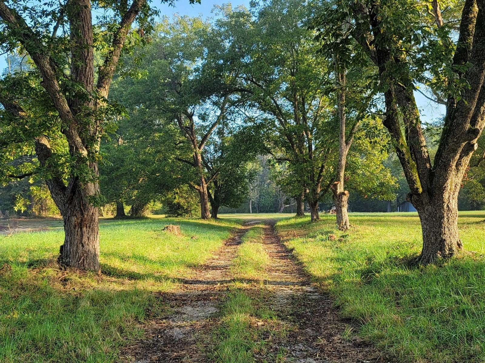 131 Acres of Agricultural Land for Sale in Rockingham, North Carolina