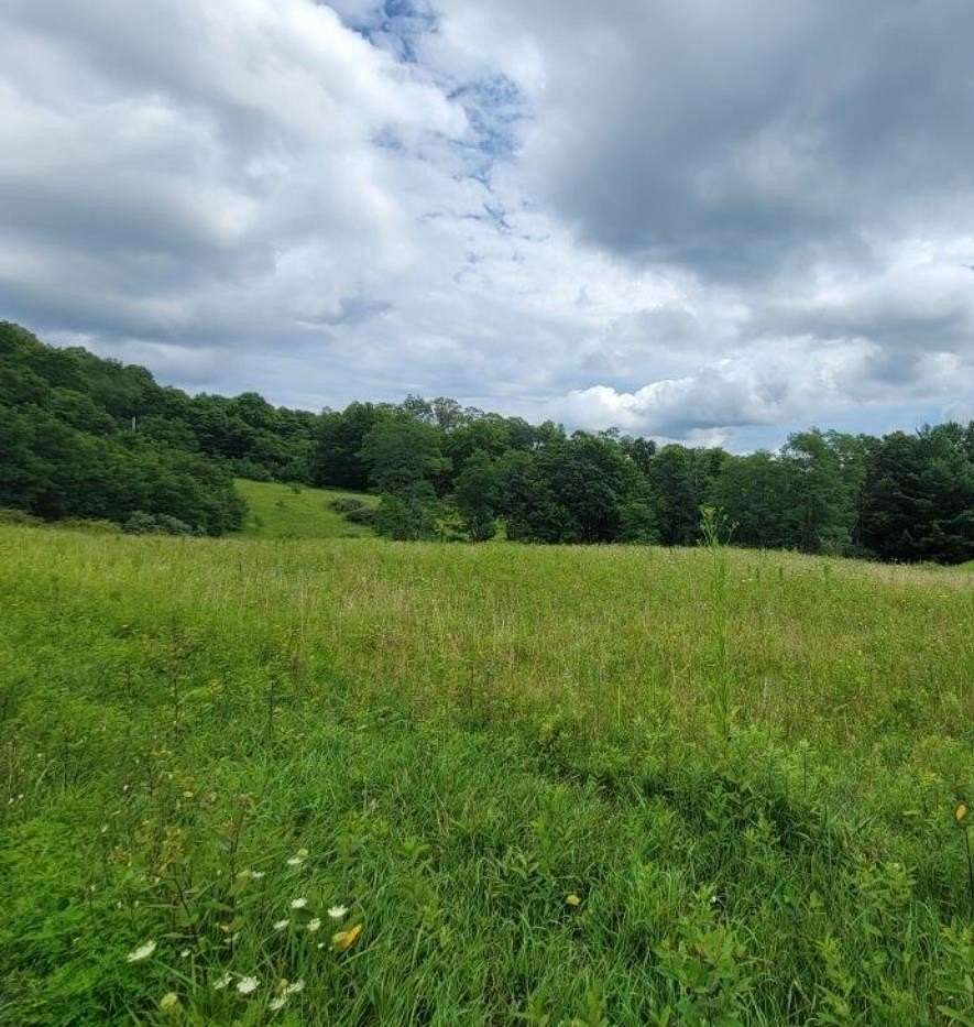 Land for Sale in Rainelle, West Virginia