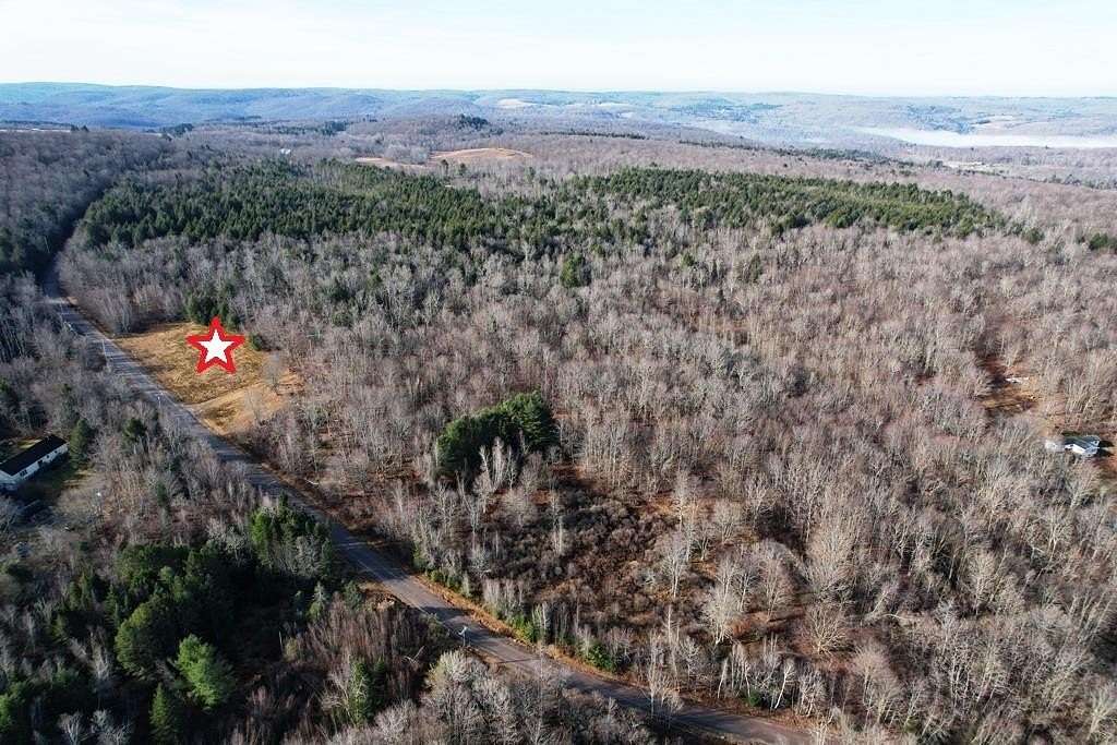 24.75 Acres of Land for Sale in Parksville, New York