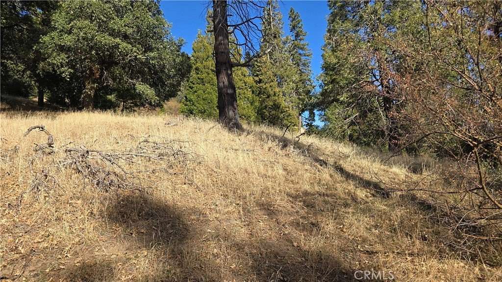 0.057 Acres of Land for Sale in Cedarpines Park, California