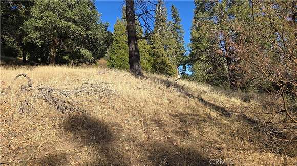 0.06 Acres of Land for Sale in Cedarpines Park, California