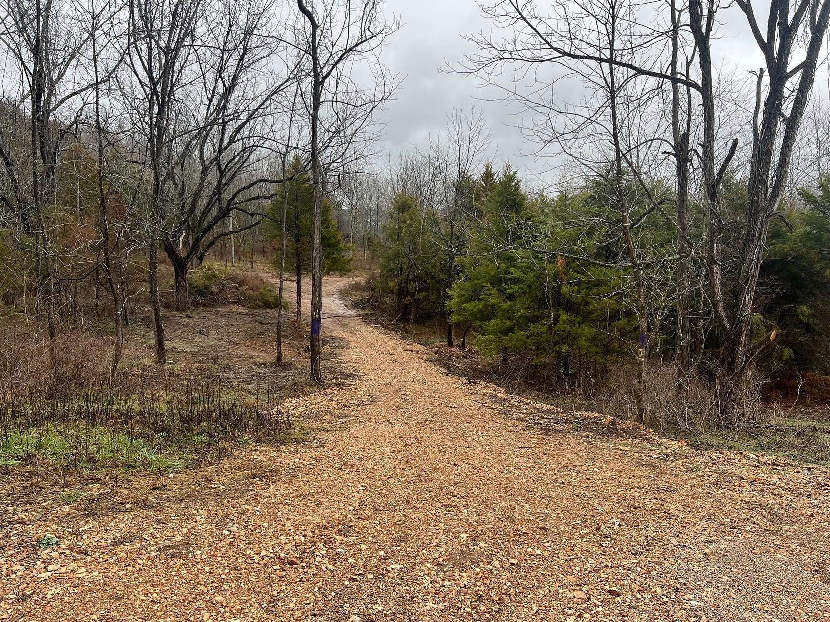 5.6 Acres of Residential Land for Sale in Cape Fair, Missouri