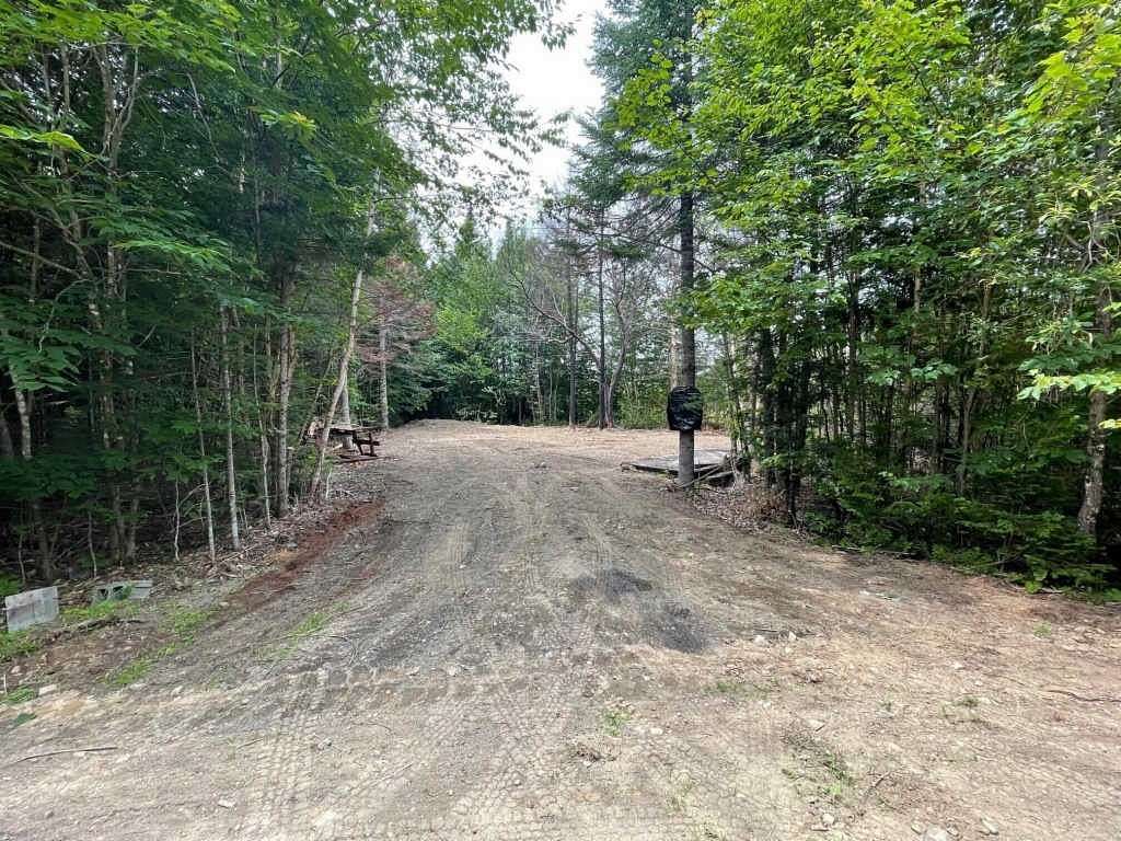 Land for Sale in Linneus, Maine