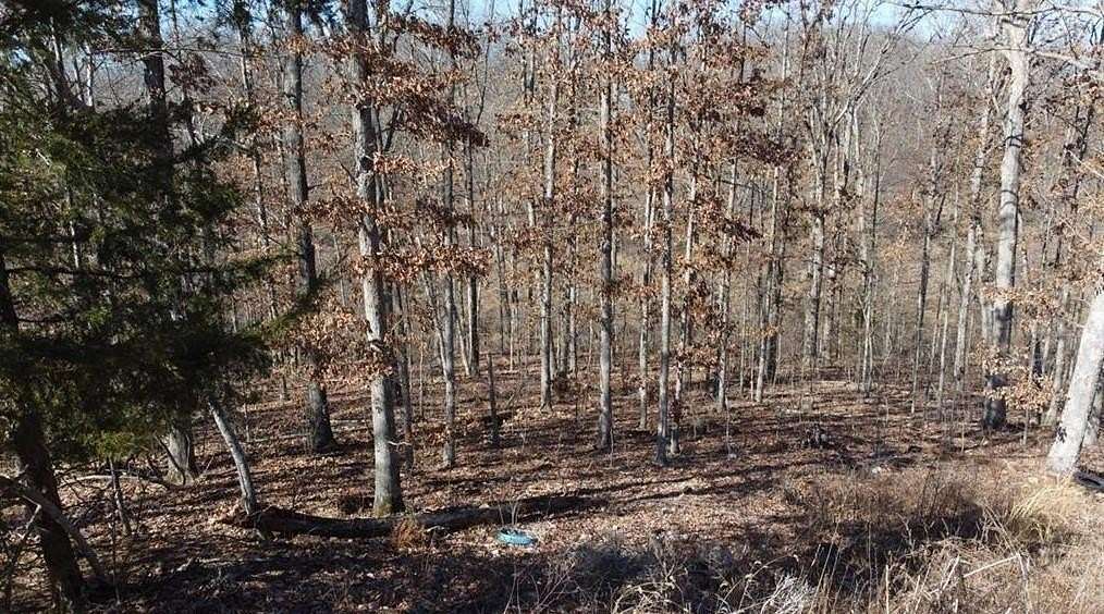 0.38 Acres of Residential Land for Sale in Bella Vista, Arkansas