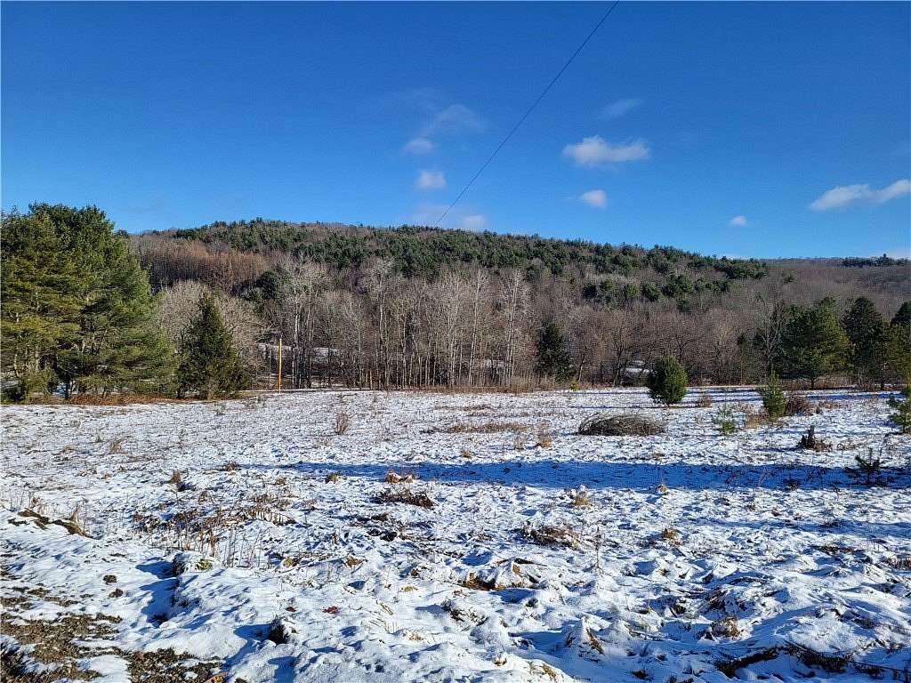 37.5 Acres of Land for Sale in Laurens, New York