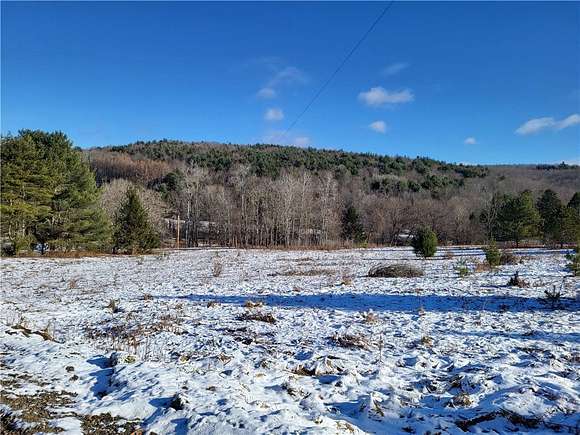 37.5 Acres of Land for Sale in Laurens, New York