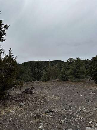 1 Acre of Land for Sale in Reno, Nevada