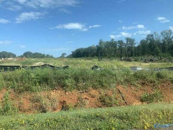 17.6 Acres of Land for Sale in Athens, Alabama