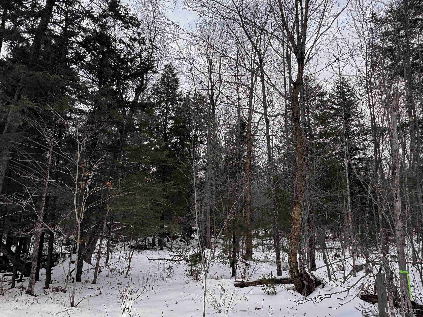 40 Acres of Recreational Land for Sale in Skanee, Michigan