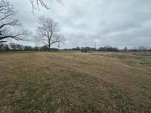 62 Acres of Agricultural Land for Sale in Brundidge, Alabama