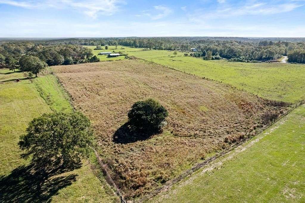 17 Acres of Agricultural Land for Sale in Poplarville, Mississippi