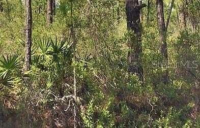 5 Acres of Residential Land for Sale in Okeechobee, Florida