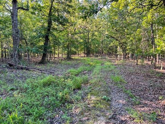 495.32 Acres of Recreational Land & Farm for Sale in West Plains, Missouri