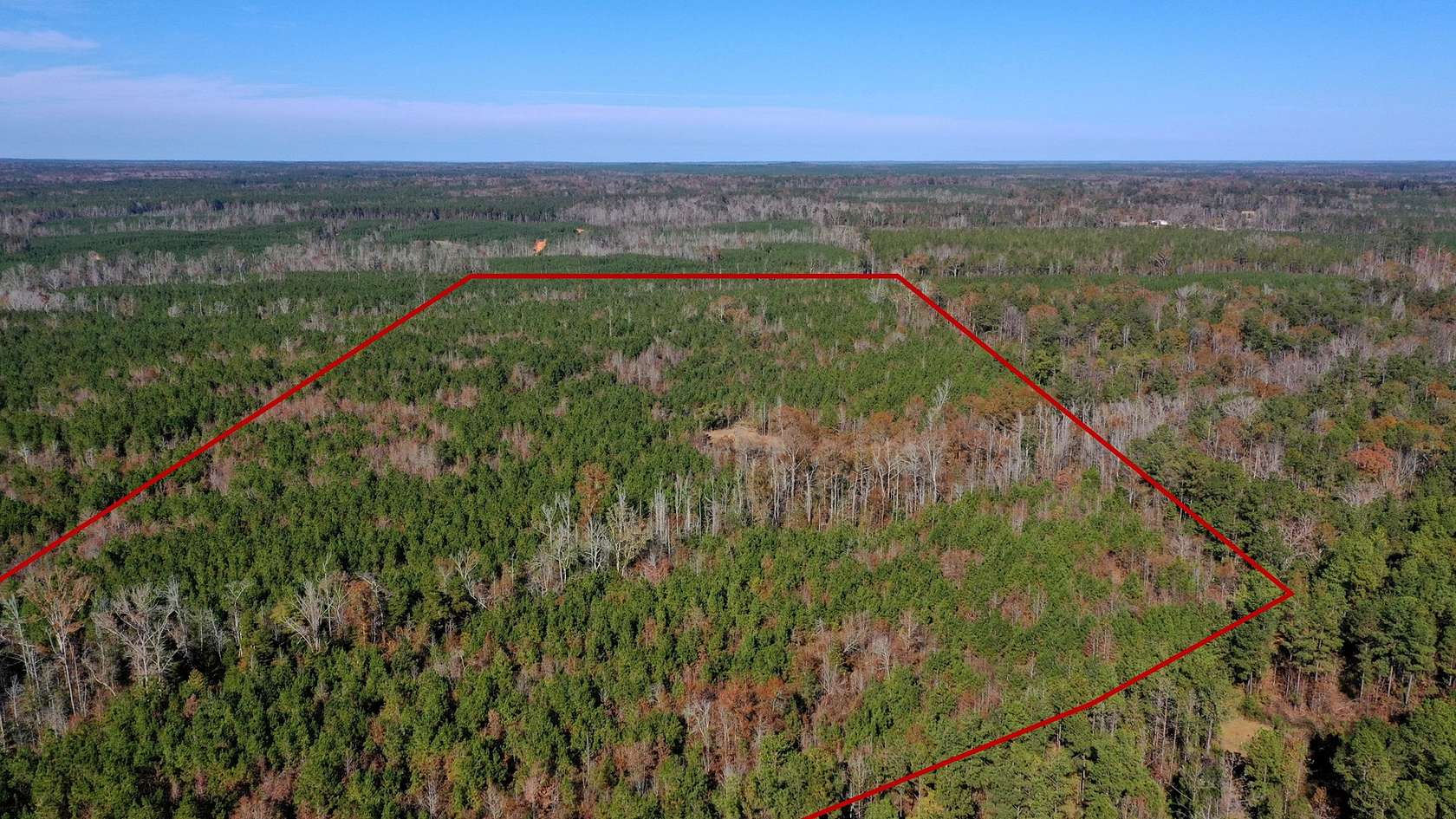 60 Acres of Recreational Land & Farm for Sale in Georgiana, Alabama