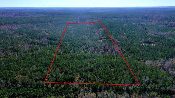 43 Acres of Recreational Land & Farm for Sale in Georgiana, Alabama