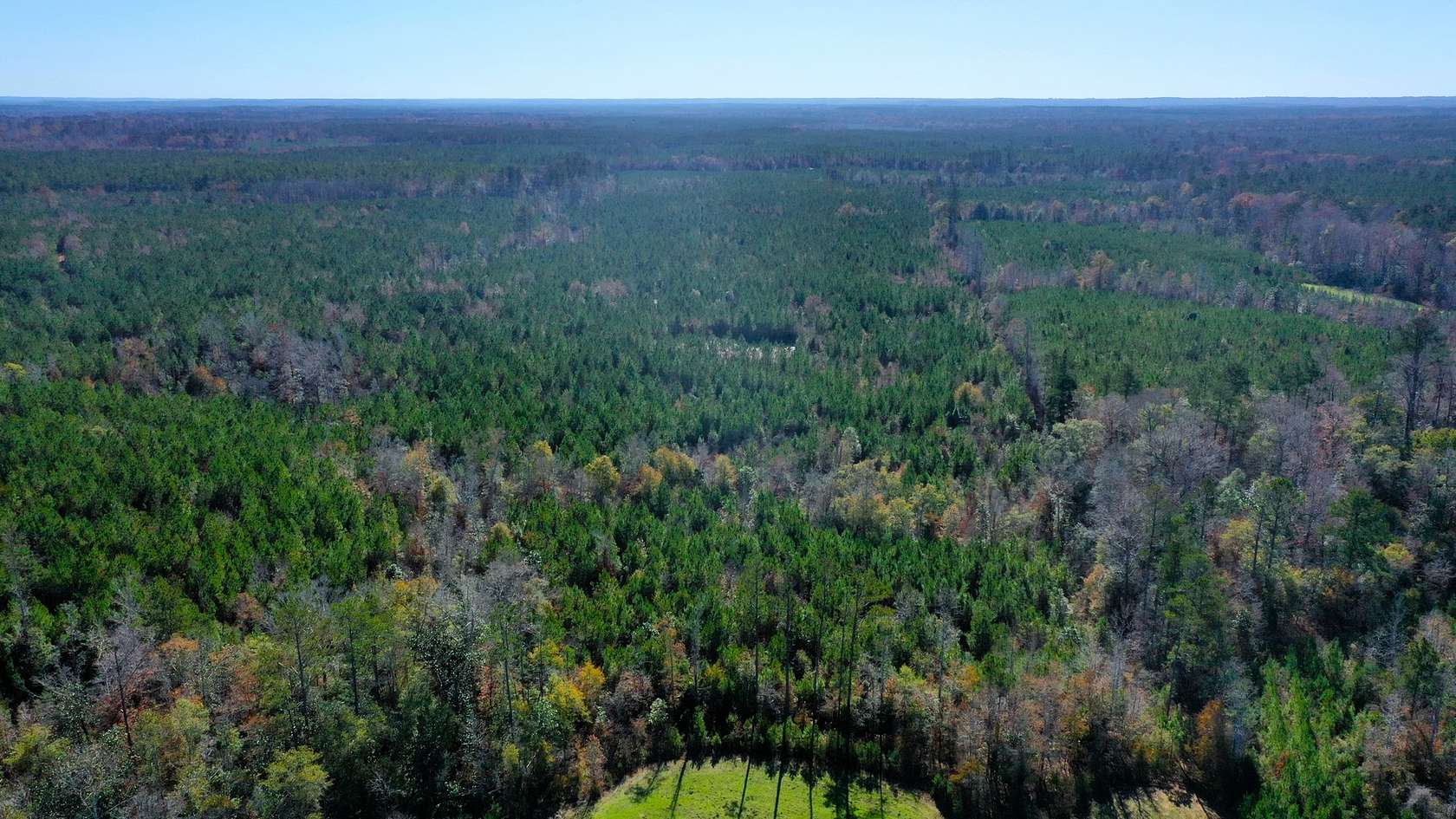 43 Acres of Recreational Land & Farm for Sale in Georgiana, Alabama