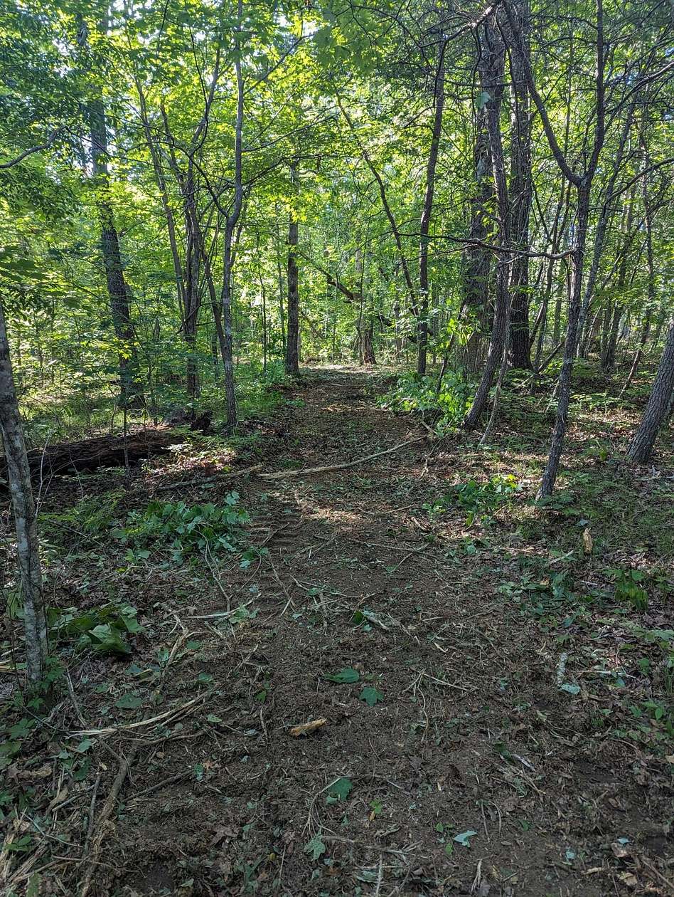 34.6 Acres of Recreational Land for Sale in Dayton, Tennessee