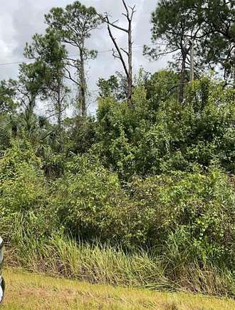 1.92 Acres of Residential Land for Sale in Okeechobee, Florida