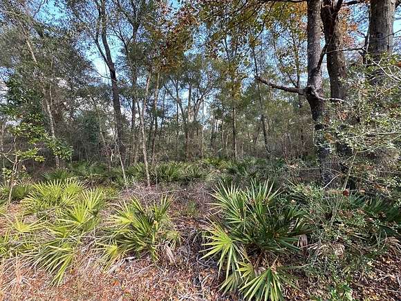 5.06 Acres of Residential Land for Sale in Chiefland, Florida