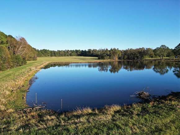 55.746 Acres of Recreational Land for Sale in Keatchie, Louisiana