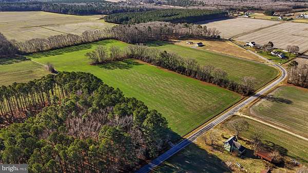 20 Acres of Agricultural Land for Sale in Delmar, Delaware