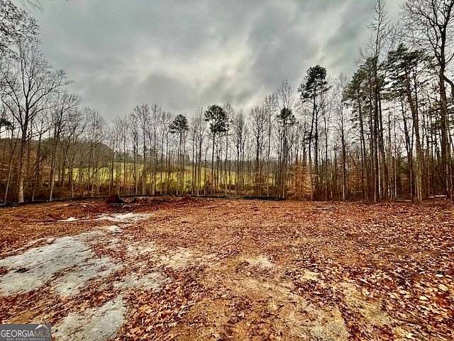 2.97 Acres of Residential Land for Sale in Carnesville, Georgia