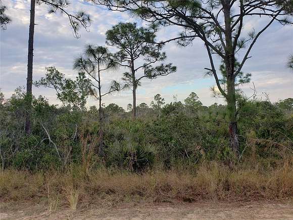 0.52 Acres of Residential Land for Sale in Lake Placid, Florida