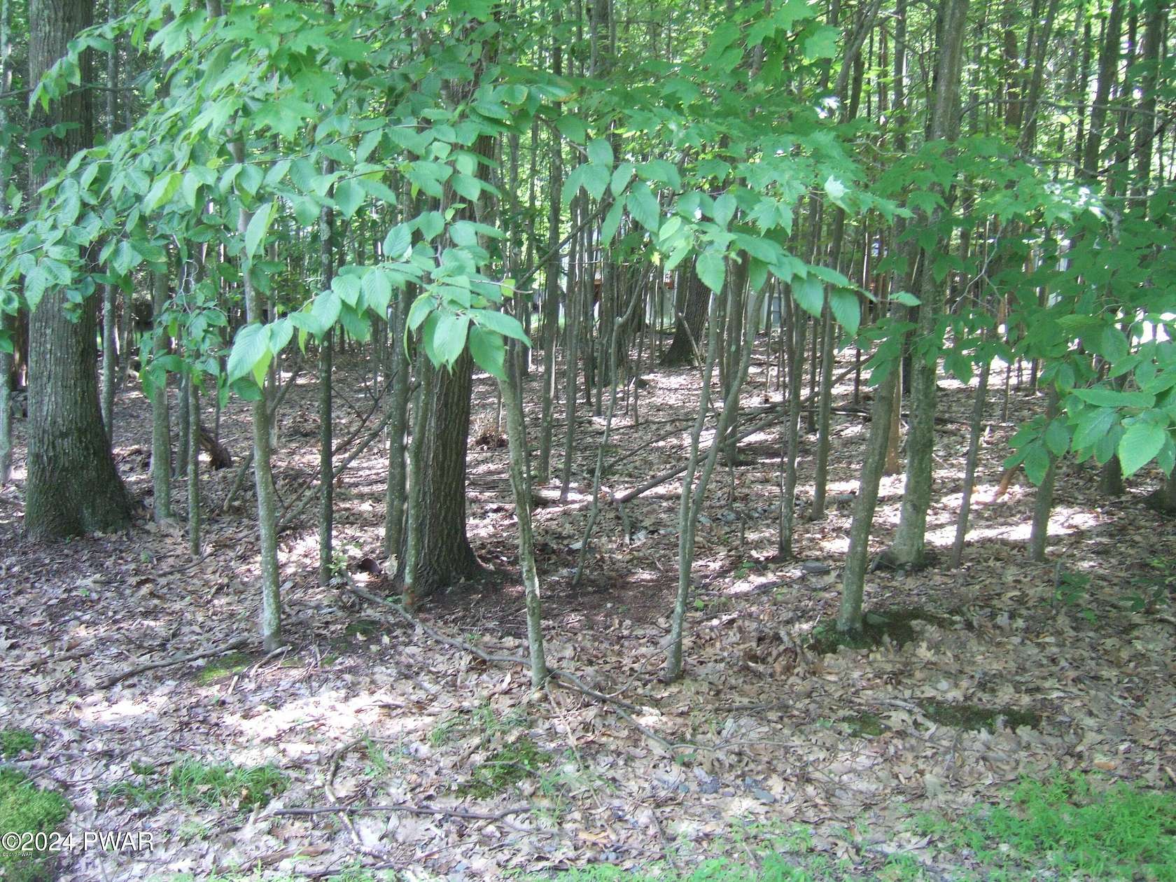 0.29 Acres of Residential Land for Sale in Lake Ariel, Pennsylvania