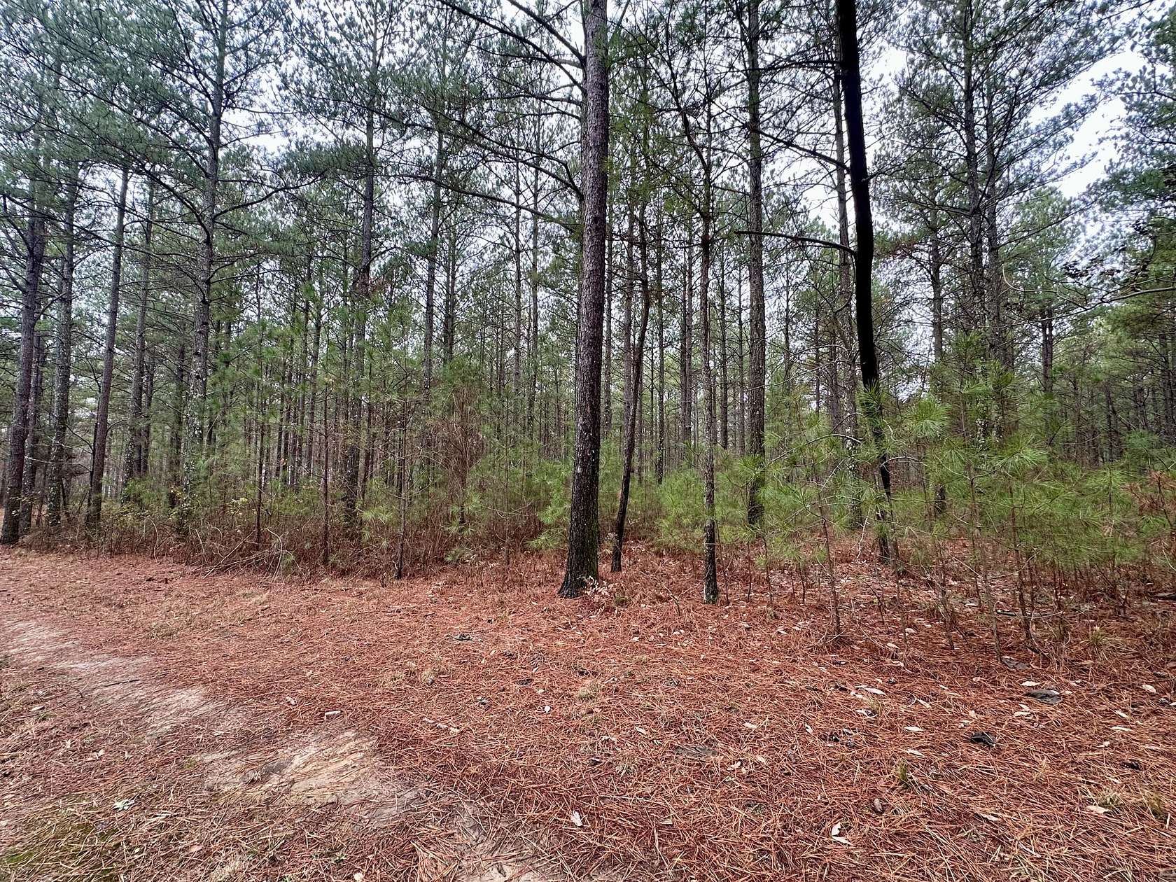 1.05 Acres of Residential Land for Sale in Haletown, Tennessee