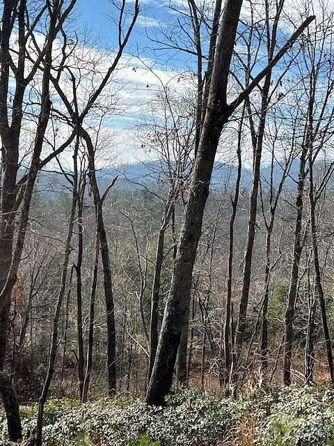 0.57 Acres of Residential Land for Sale in Spruce Pine, North Carolina