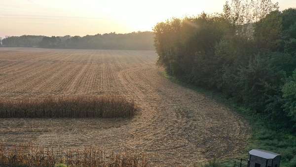 36.5 Acres of Recreational Land & Farm for Sale in Prole, Iowa