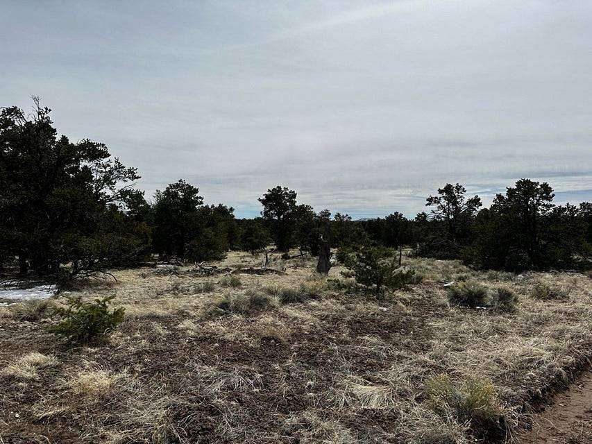 4.02 Acres of Residential Land for Sale in Quemado, New Mexico