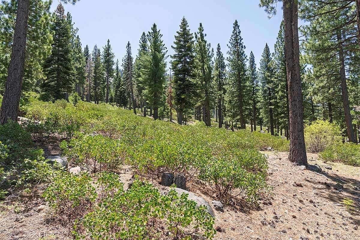 1 Acre of Residential Land for Sale in Truckee, California