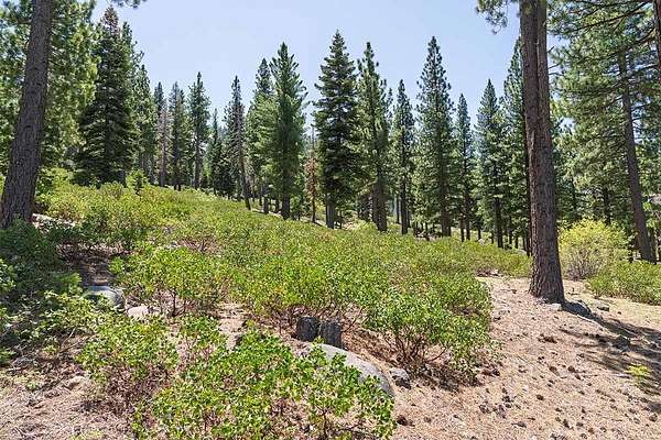 1 Acre of Residential Land for Sale in Truckee, California