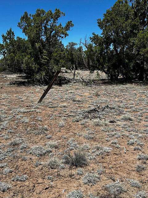 Residential Land for Sale in Quemado, New Mexico