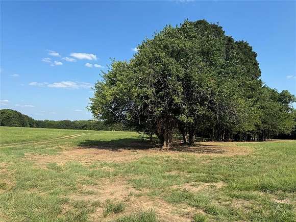 1 Acre of Residential Land for Sale in Pottsboro, Texas