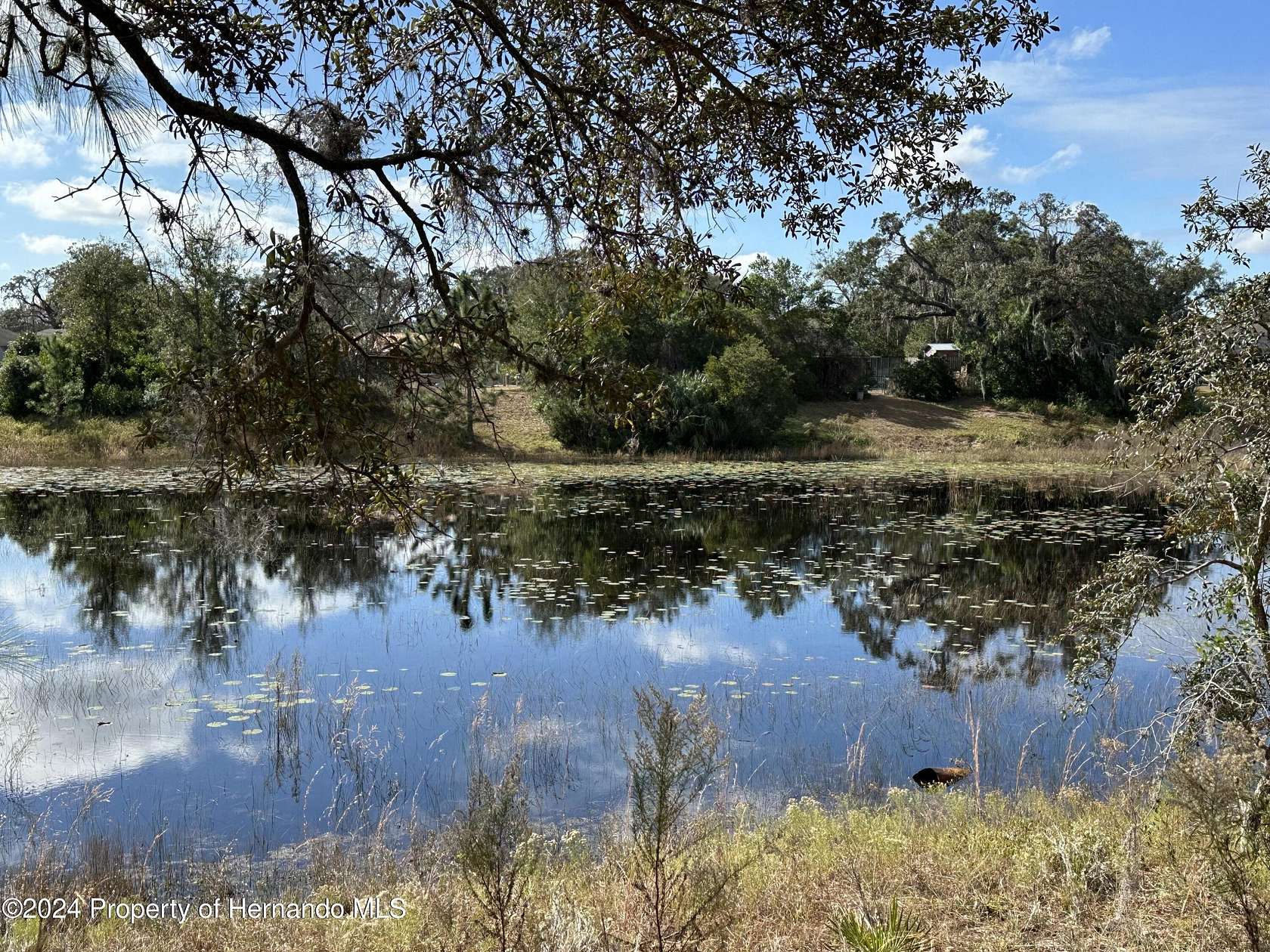 0.72 Acres of Residential Land for Sale in Spring Hill, Florida