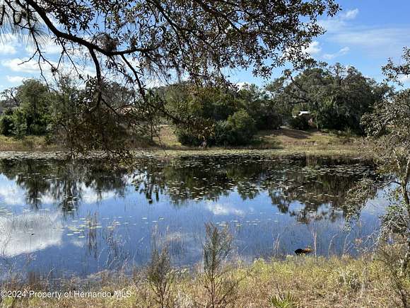 0.72 Acres of Residential Land for Sale in Spring Hill, Florida