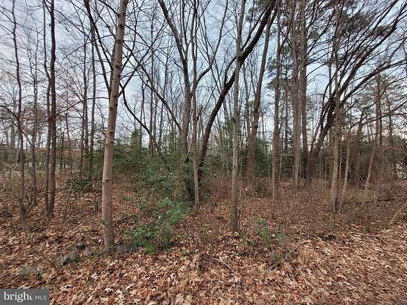 0.49 Acres of Residential Land for Sale in Colonial Beach, Virginia