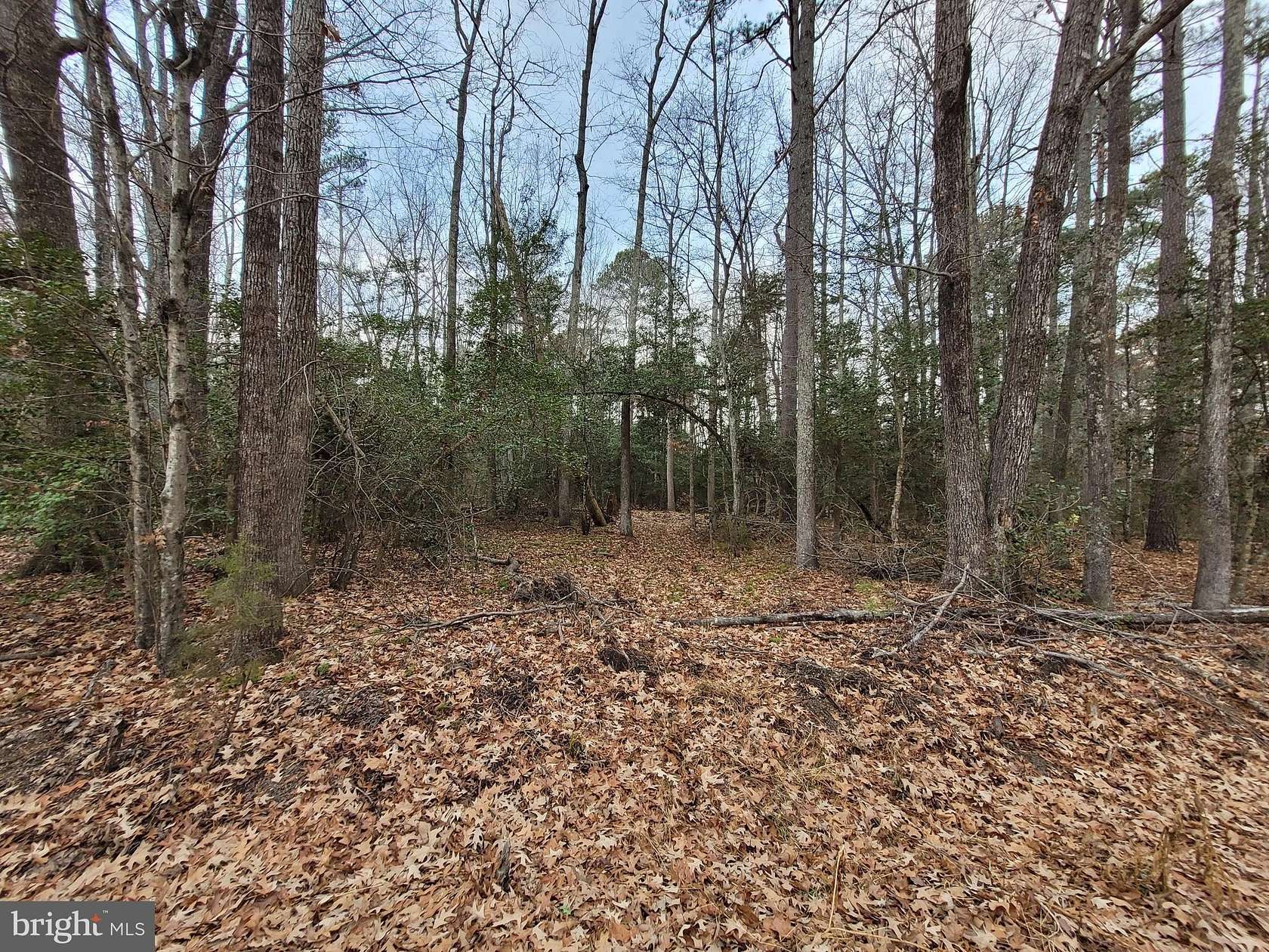 0.44 Acres of Residential Land for Sale in Colonial Beach, Virginia