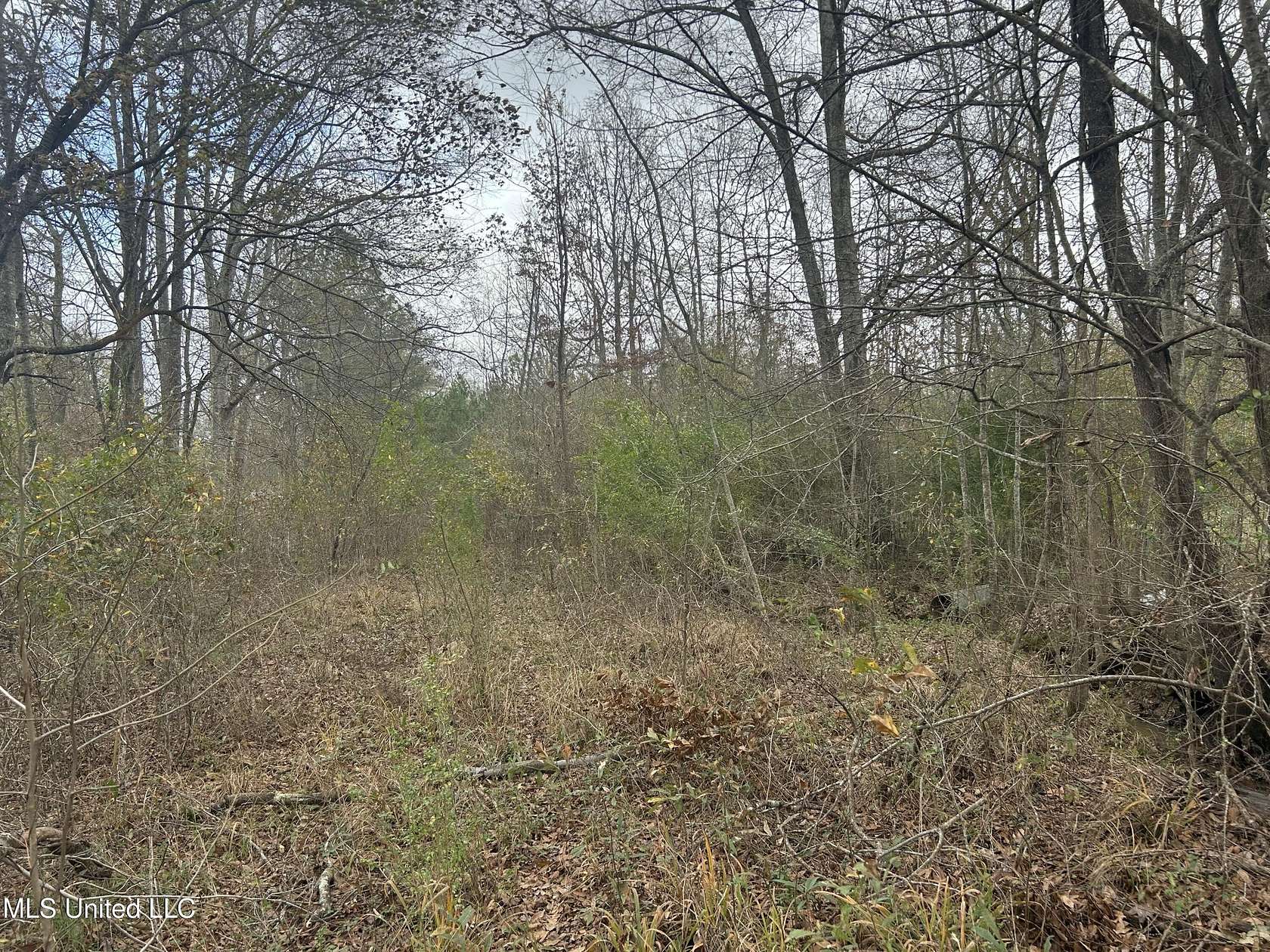 30.4 Acres of Land for Sale in Bolton, Mississippi