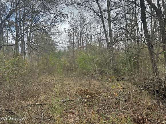 30.4 Acres of Land for Sale in Bolton, Mississippi