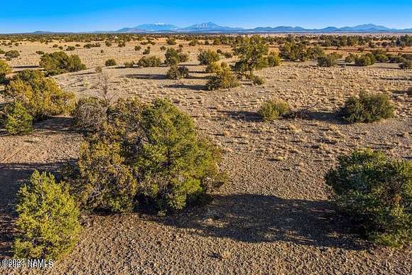 10.02 Acres of Land for Sale in Williams, Arizona