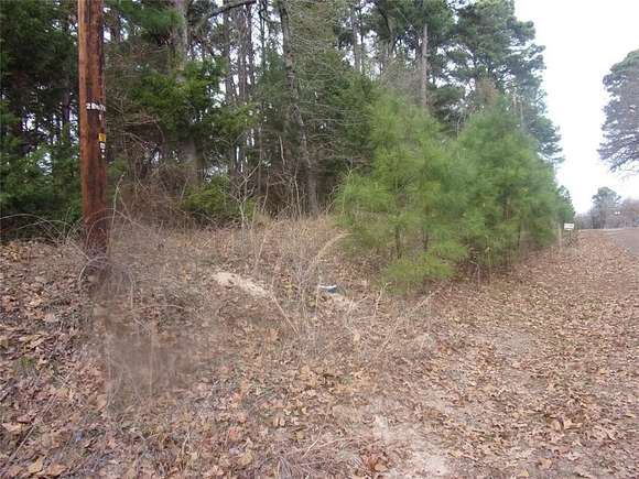 0.21 Acres of Residential Land for Sale in Murchison, Texas