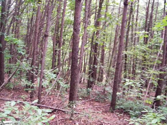 0.61 Acres of Residential Land for Sale in Pickens, South Carolina