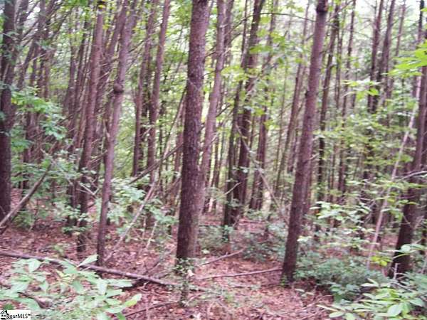 0.61 Acres of Land for Sale in Pickens, South Carolina