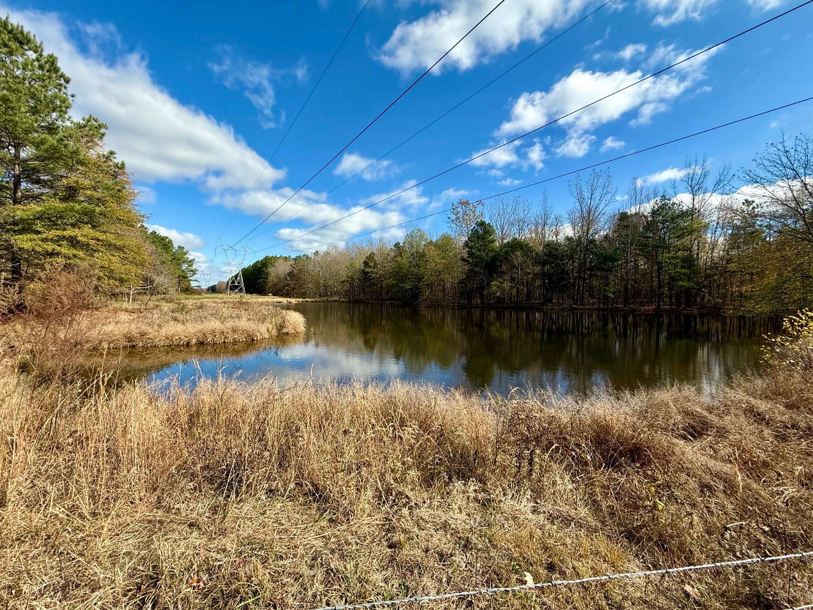 156.2 Acres of Recreational Land & Farm for Sale in Cedar Grove, Tennessee